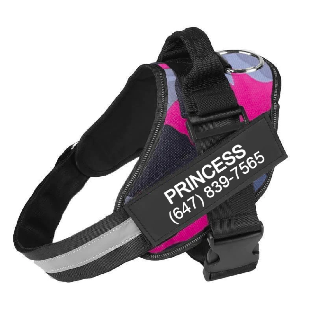 BELLA ENCORE - Personalized No Pull Dog Harness