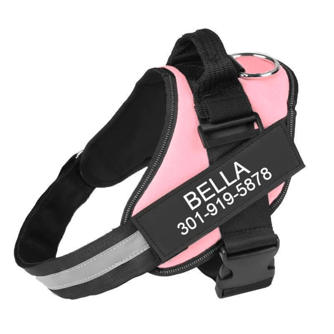 BELLA ENCORE - Personalized No Pull Dog Harness