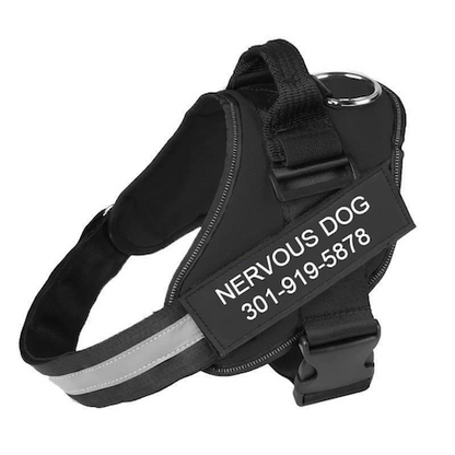 BELLA ENCORE - Personalized No Pull Dog Harness